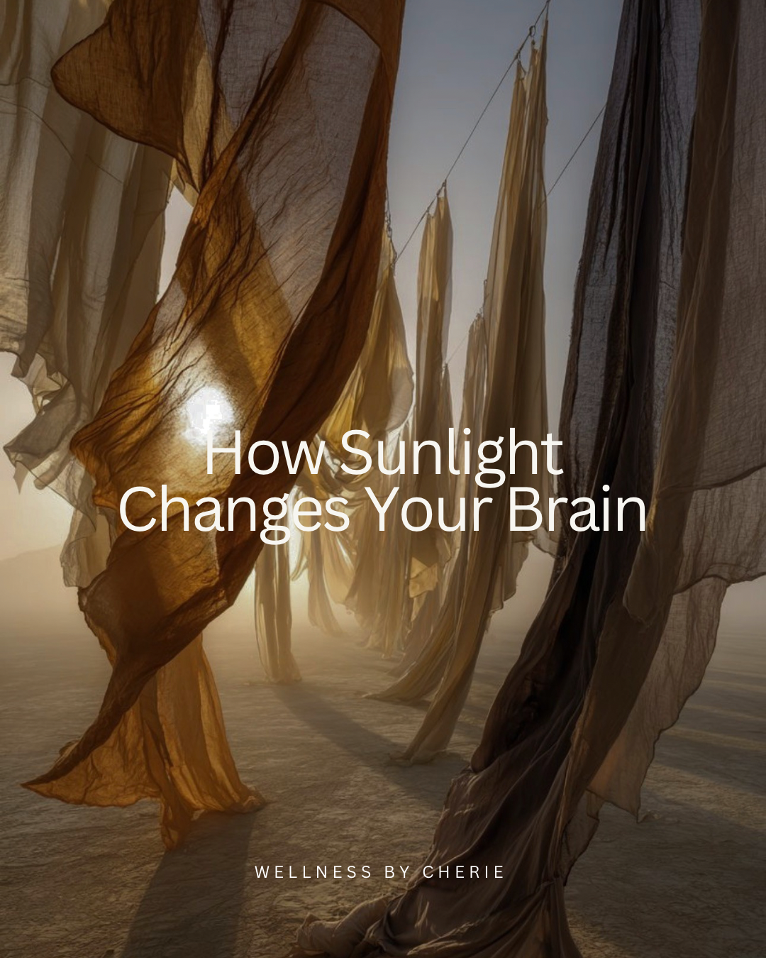 How Sunlight Changes Your Brain